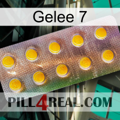 Jelly 7 new11